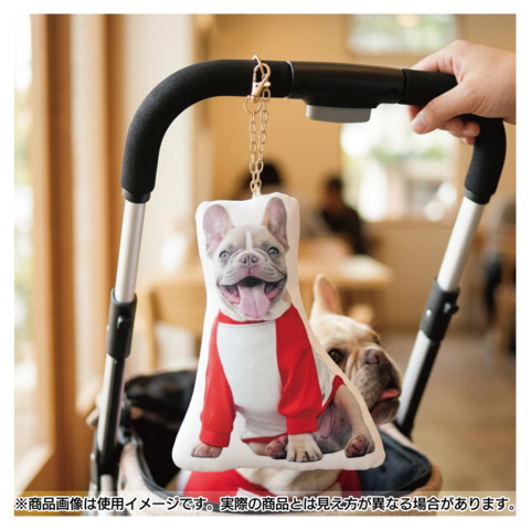 �����Τ����㡼�� - ��
