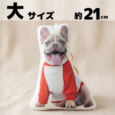 �����Τ����㡼�� - ��