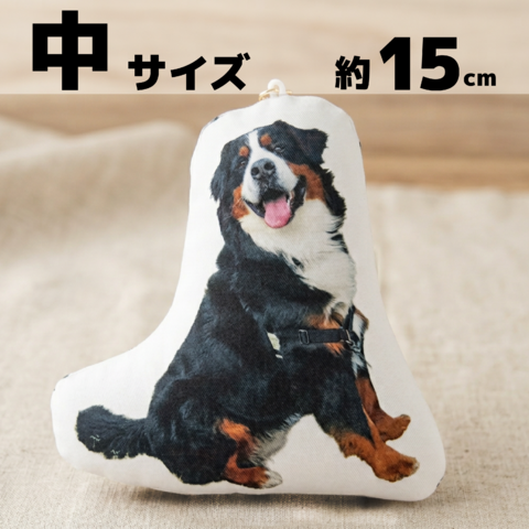 �����Τ����㡼�� - ��