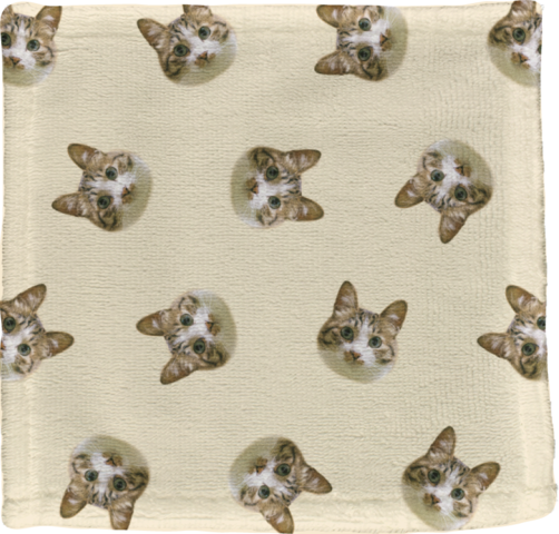 ���ѥ�����ߥ˥����롡1����