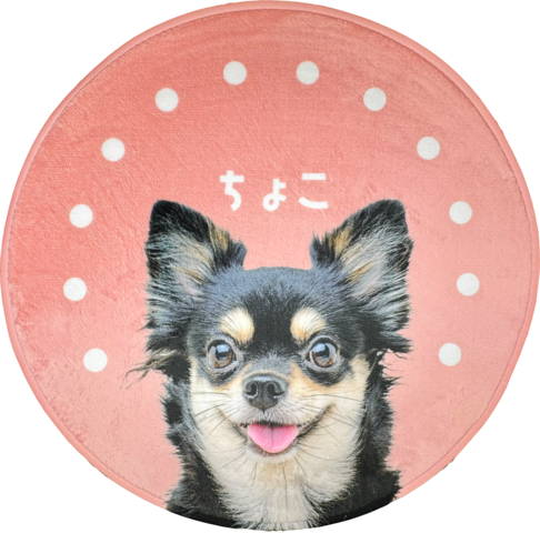 ����ƥꥢ�饰 �ɥå�