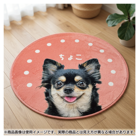 ����ƥꥢ�饰 �ɥå�