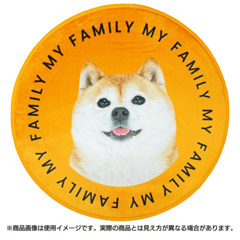 ����ƥꥢ�饰 MY FAMILY