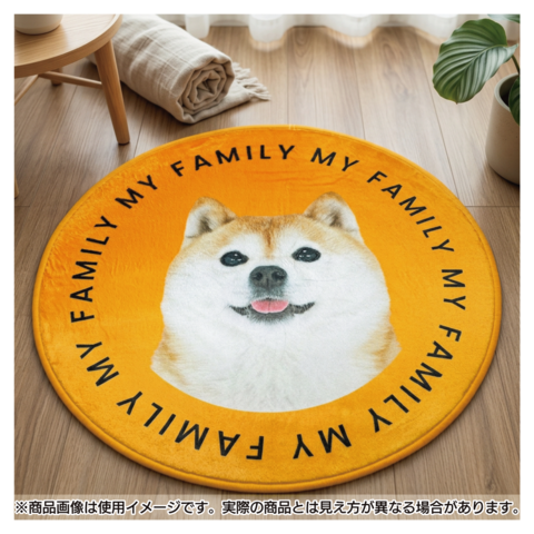 ����ƥꥢ�饰 MY FAMILY