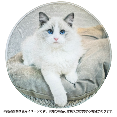 ����ƥꥢ�饰 ���̰���