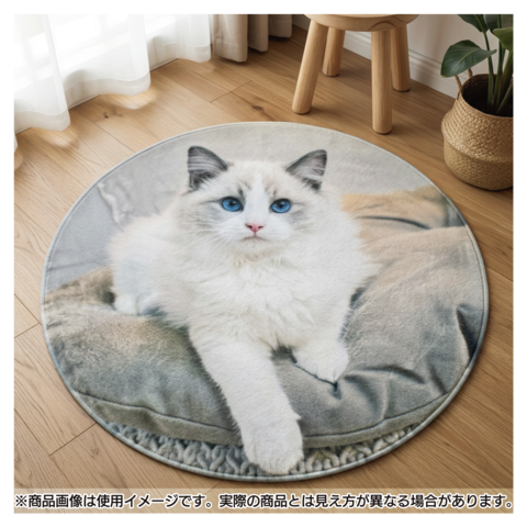 ����ƥꥢ�饰 ���̰���