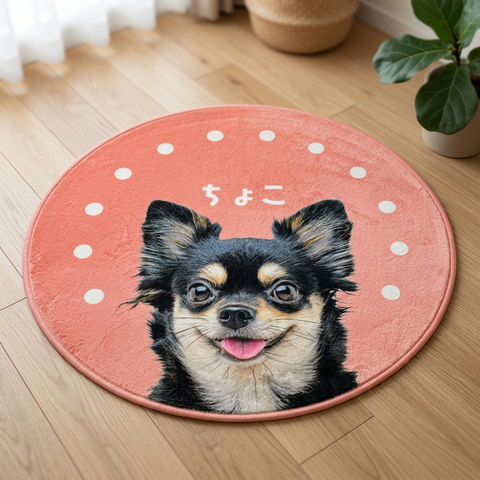 ����ƥꥢ�饰 �ɥå�