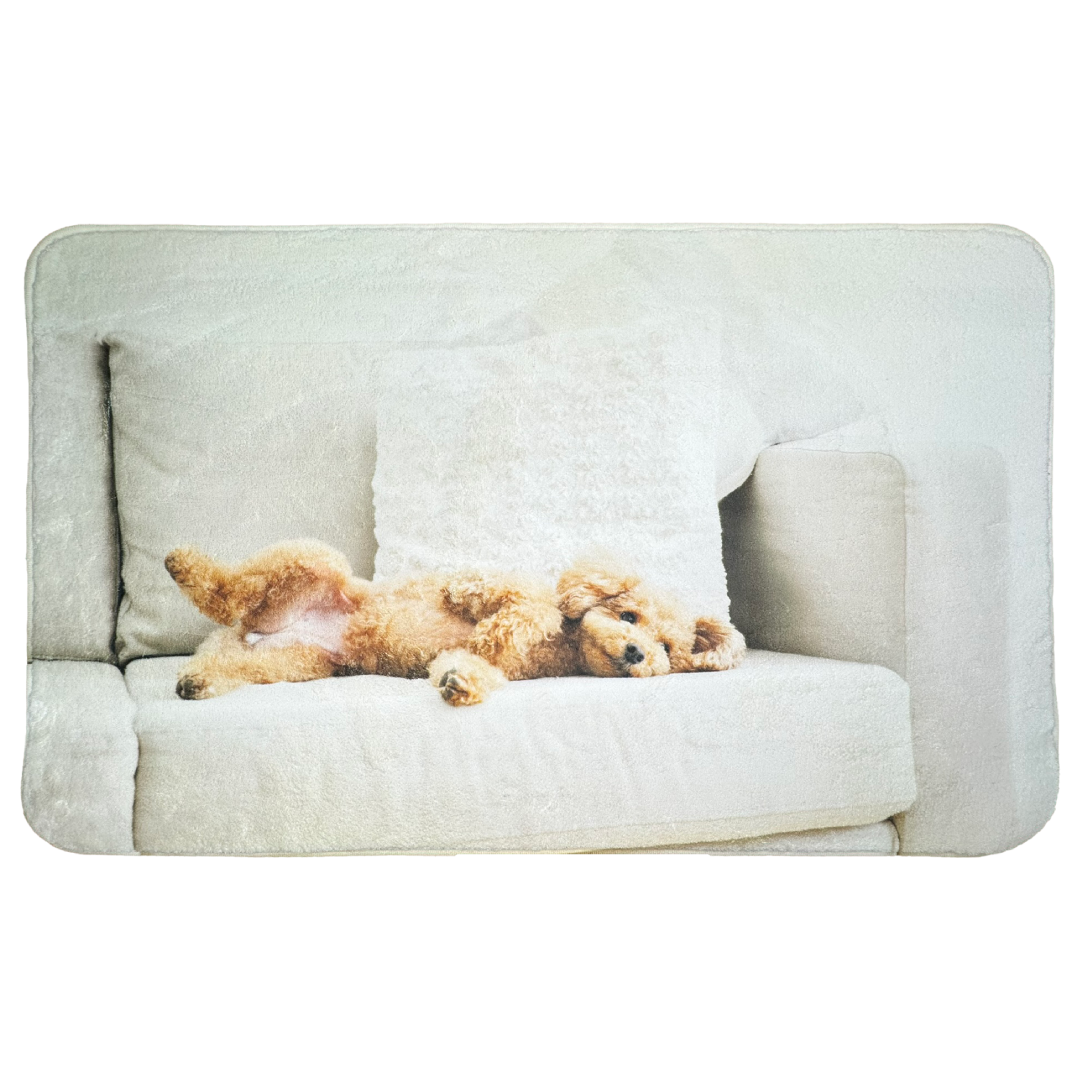 �ǥ�����ޥå�