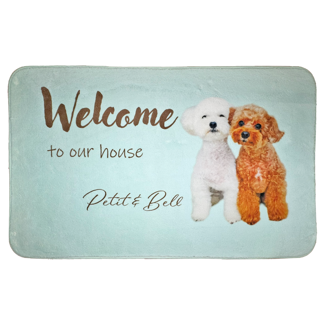 �����륫��ޥå� �֥饦��