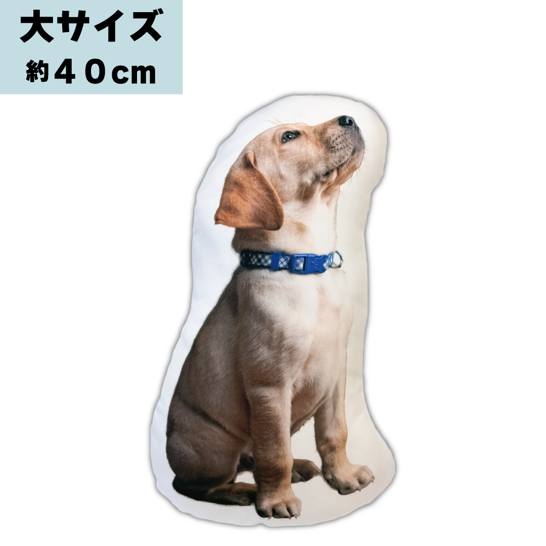 Τå - 