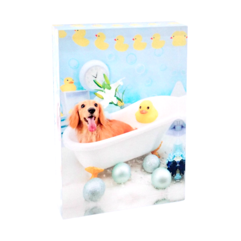 �����֥� �ġ����̰���