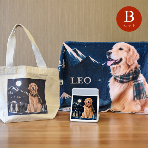 �ߤΥ����󥿡����ե�B���å�-�ե��쥹�ȥ����ǥ�����